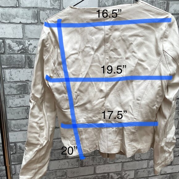 Leather Jacket - Picture 5 of 8